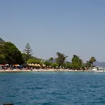 Eva Lefkada ニドリ