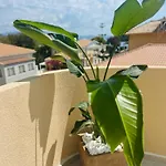 Eva Lefkada 호텔