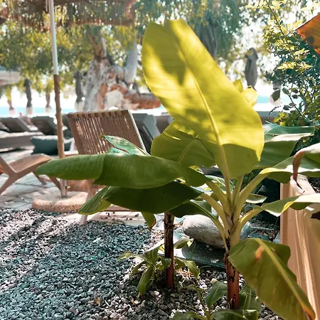 Хотел Eva Lefkada Нидри
