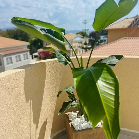 Eva Lefkada ホテル