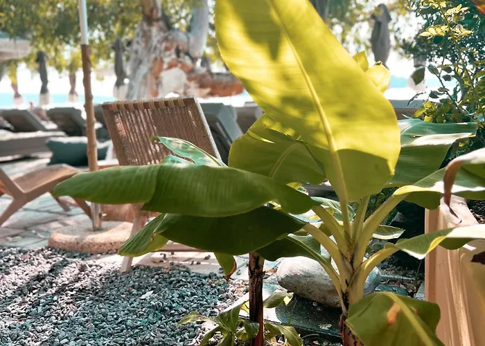 Hotel Eva Lefkada Nydri (Lefkada)